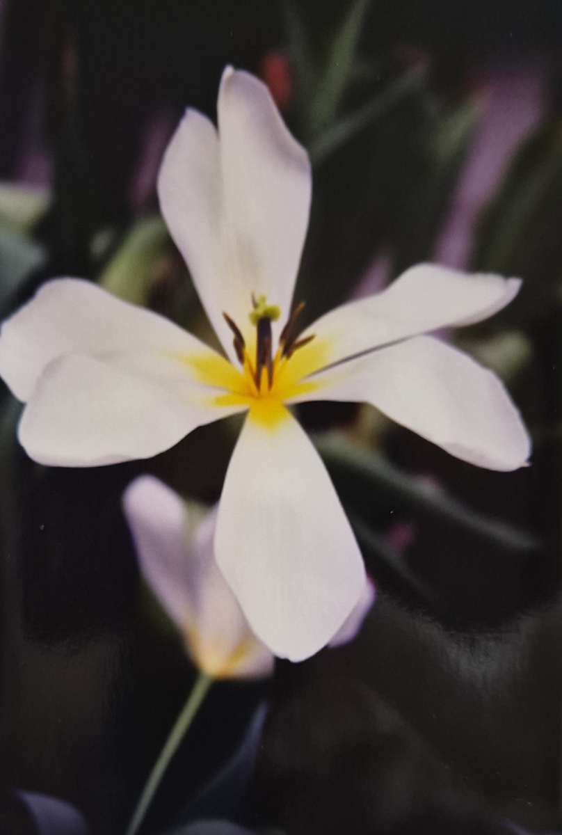 On the Edge 3 by J. Patrick Bowman  Image: 6"x4" Original Fine Art Photos matted to 10"x8" and ready to frame