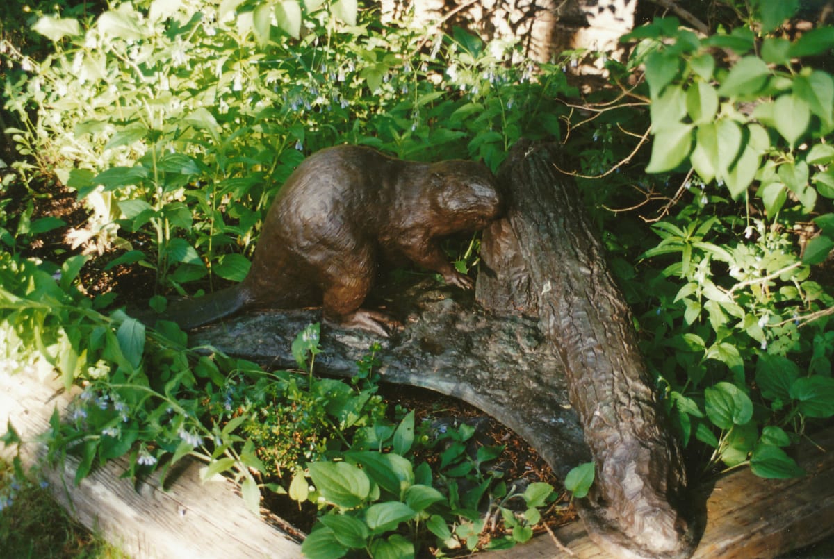 Beaver & Fallen Tree (City Hall, Calgary, AB) by Karen Begg, Image 1.