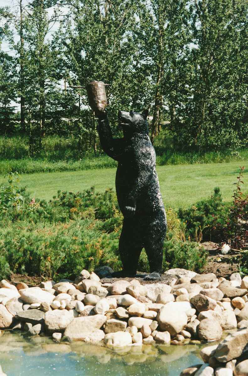 Black Bear by Karen Begg 