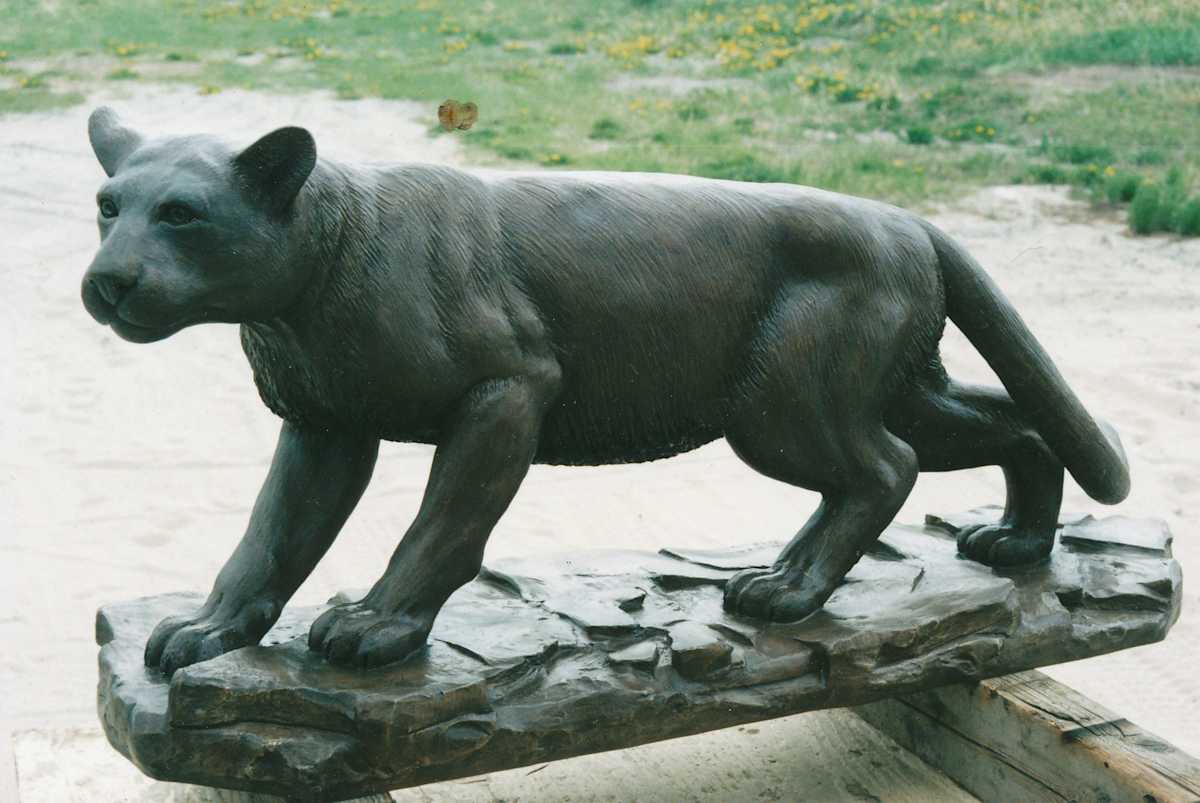 Cougar (copy) by Karen Begg 