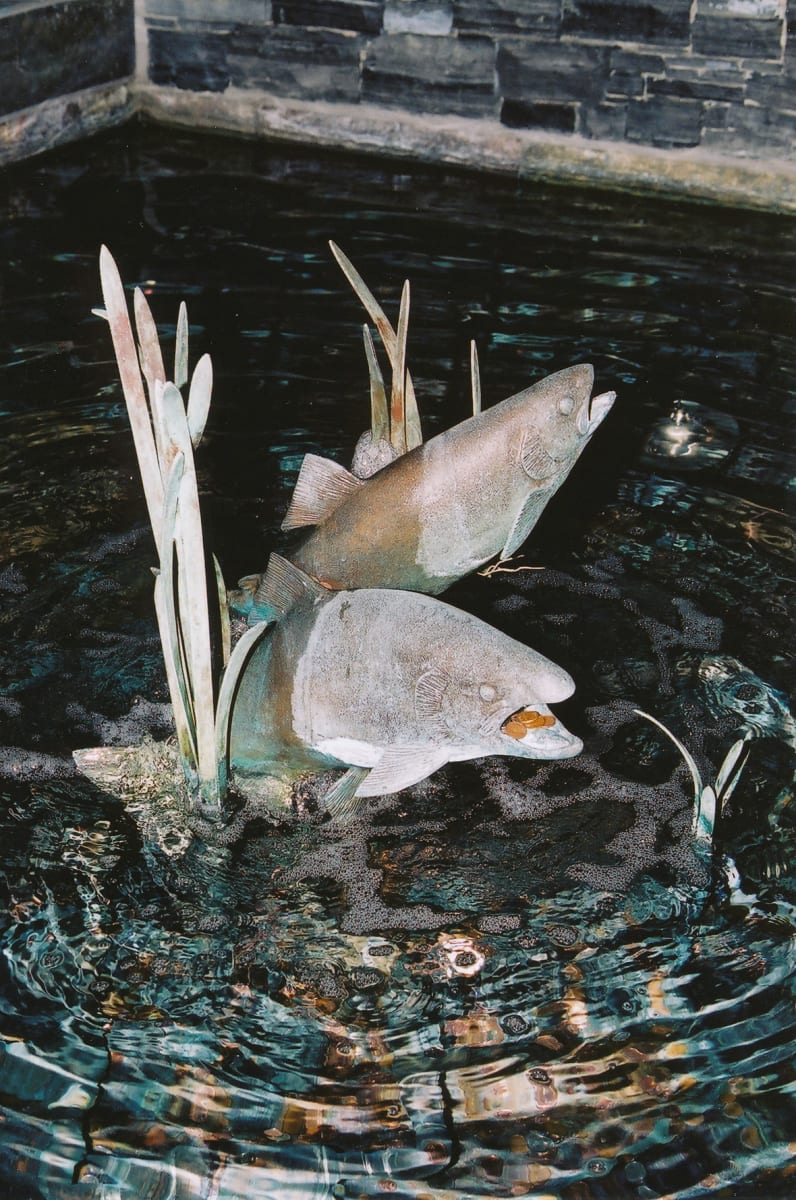 Rising For Flies (copy 2) by Karen Begg, Image 1.