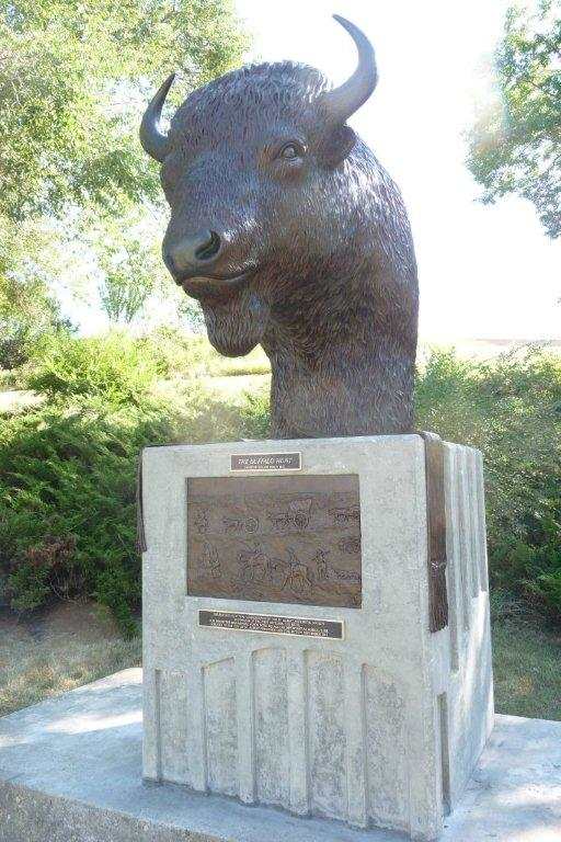 Buffalo - Metis Buffalo Hunt Commemorative by Karen Begg 