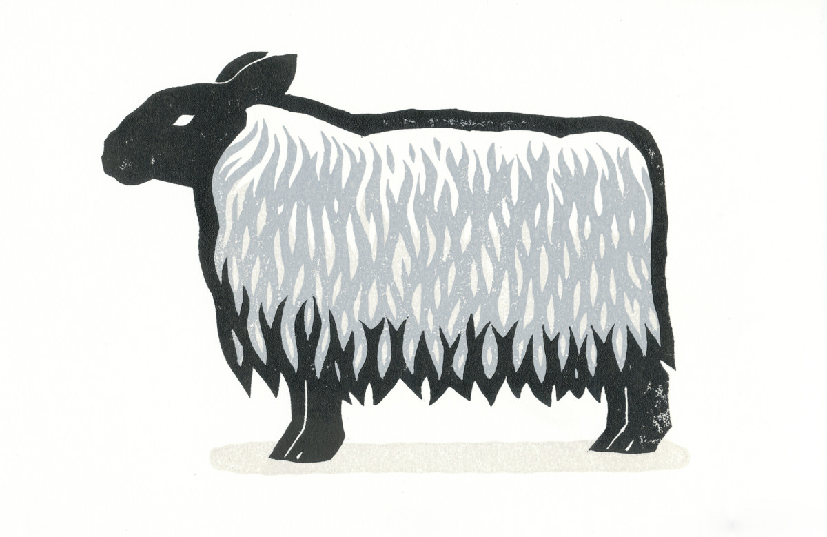 Sheep by Jenn Rodriguez 