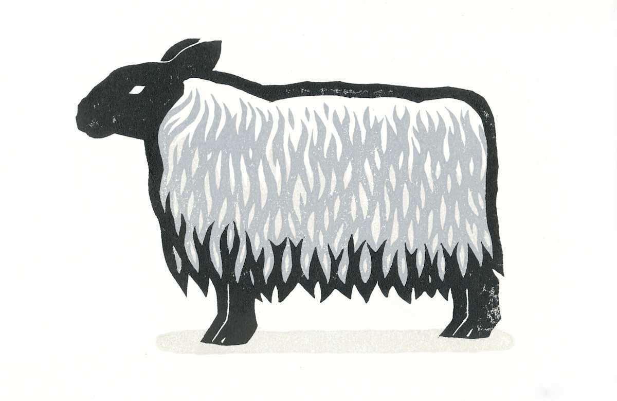 Sheep by Jenn Rodriguez, Image 1.