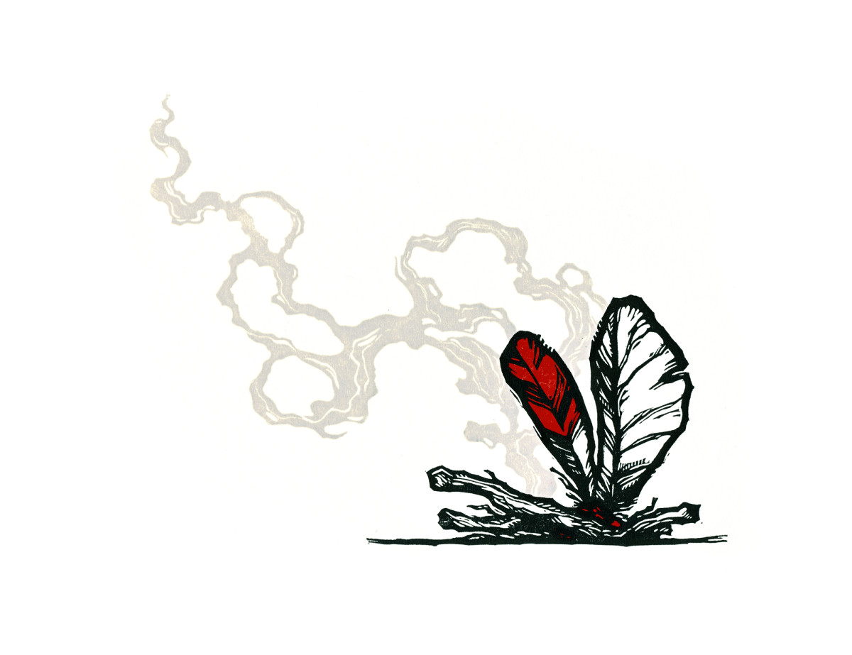 Signal by Jenn Rodriguez 