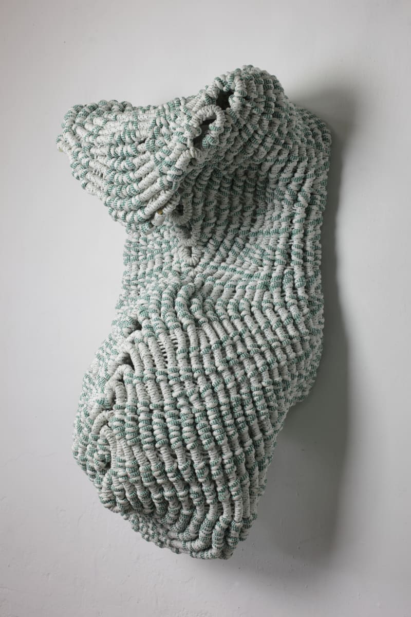 Shield- take 2 by danimarti 