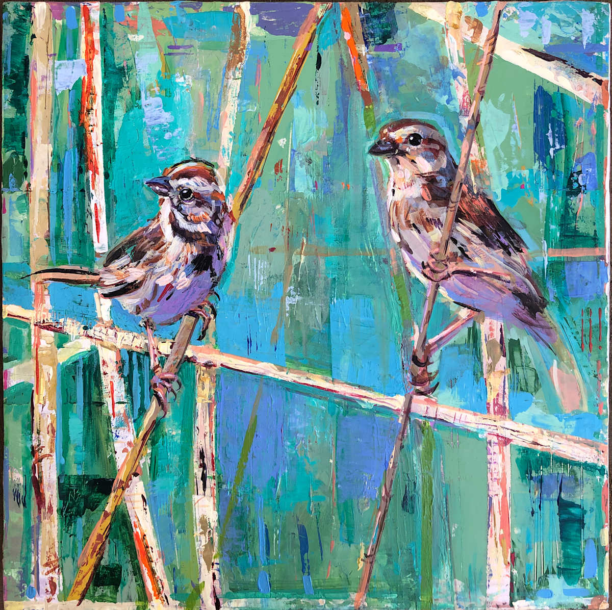 Song Sparrows by Shannon Abbey 