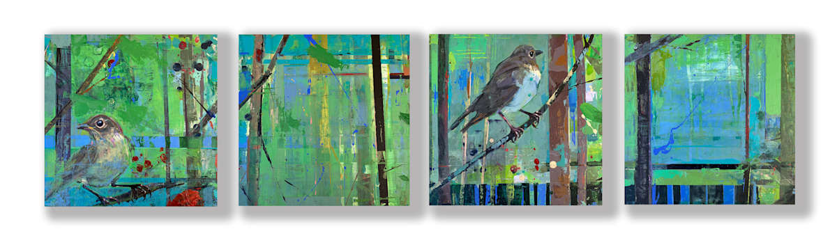 Swainson's Thrush by Shannon Abbey, Image 1.