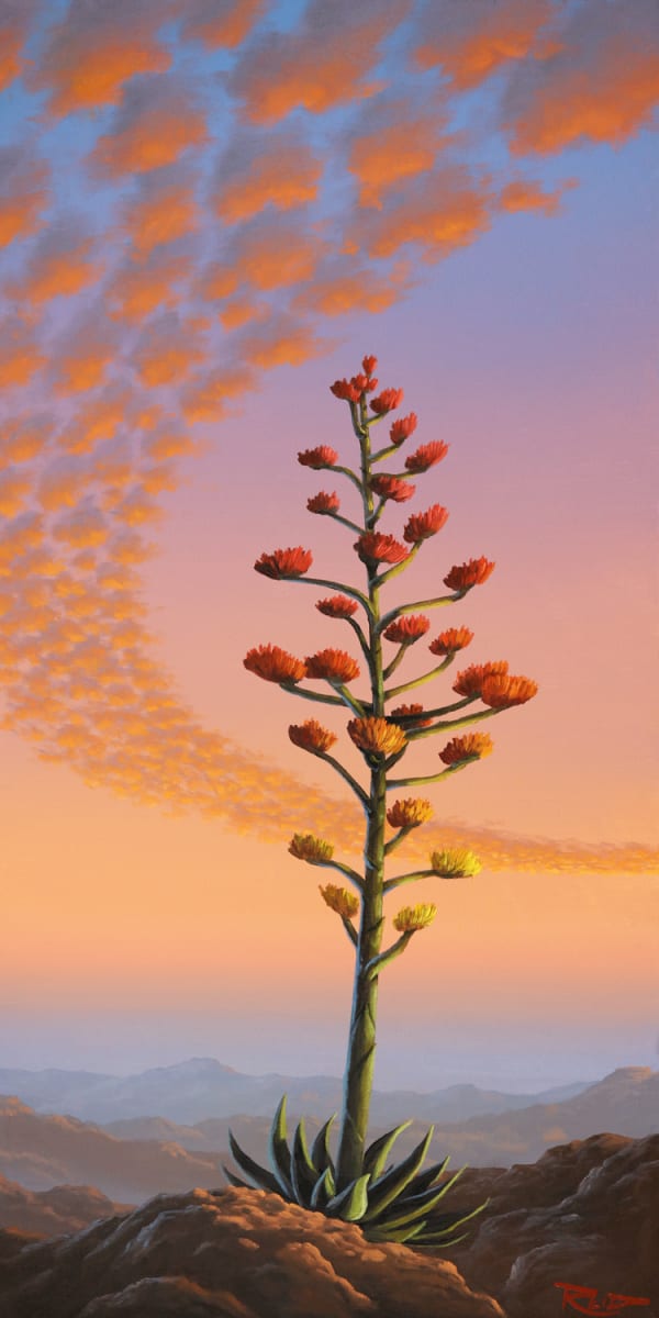 Agave Vista by Reid Richardson 