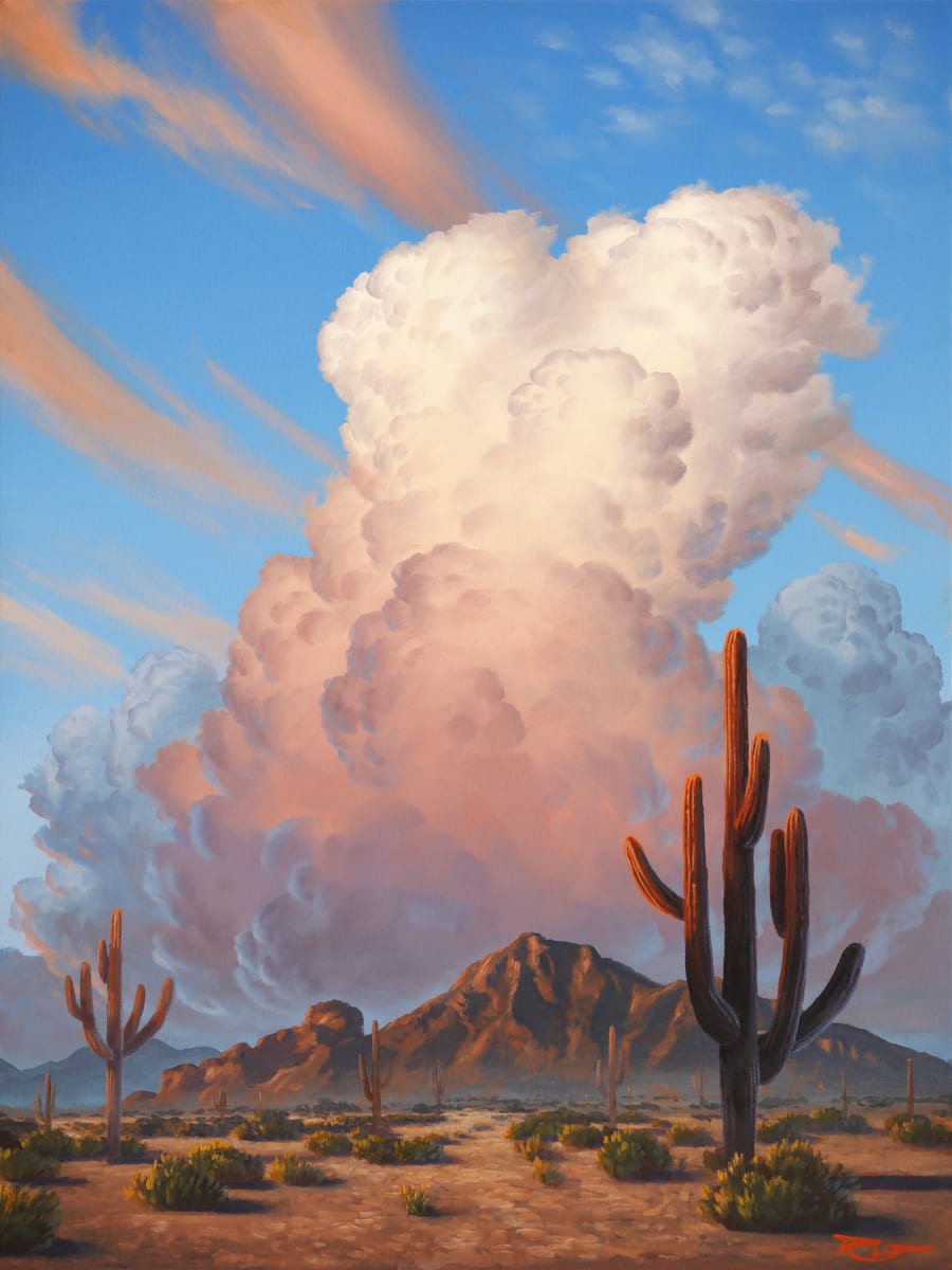 Camelback Wilderness by Reid Richardson 