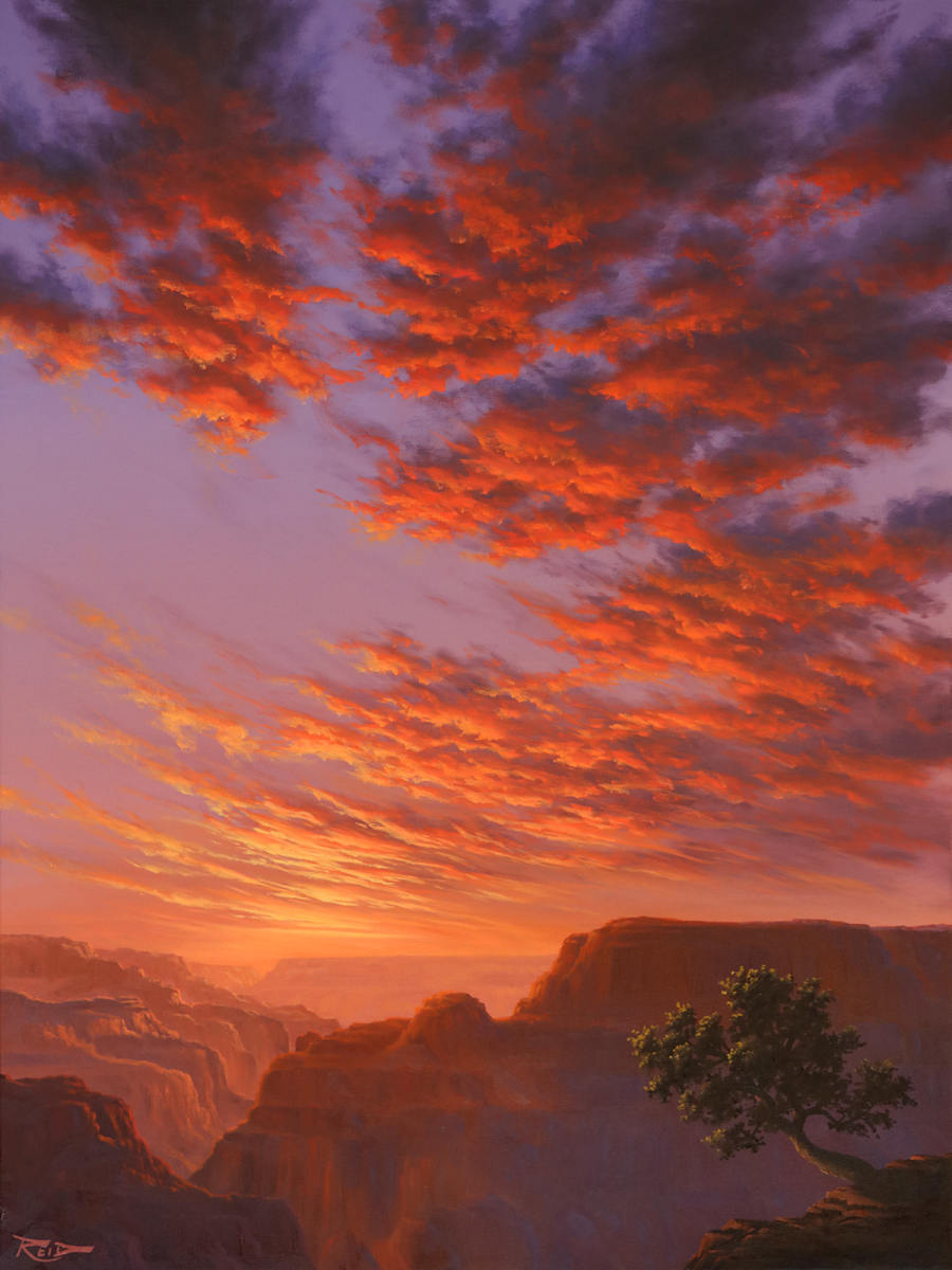 Canyon Solitude by Reid Richardson 