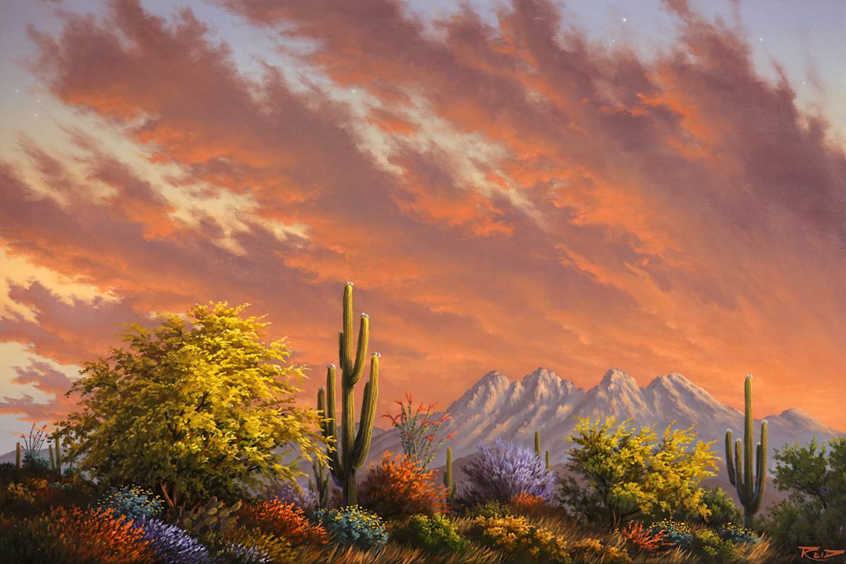 Desert Palette by Reid Richardson 