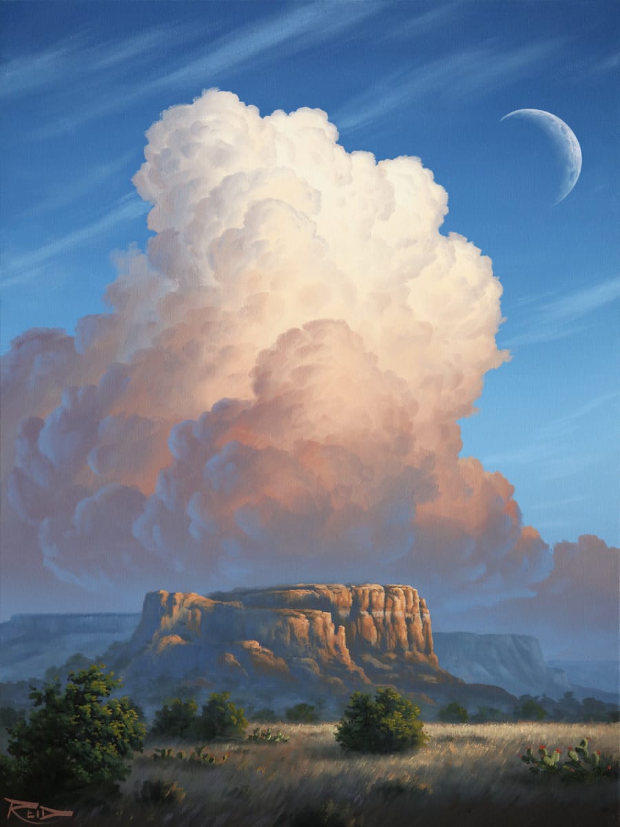 Enchanted Evening by Reid Richardson 