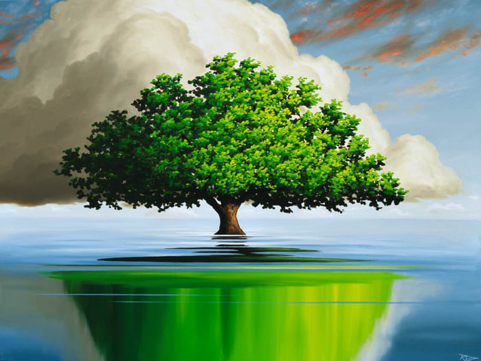 Evergreen by Reid Richardson 