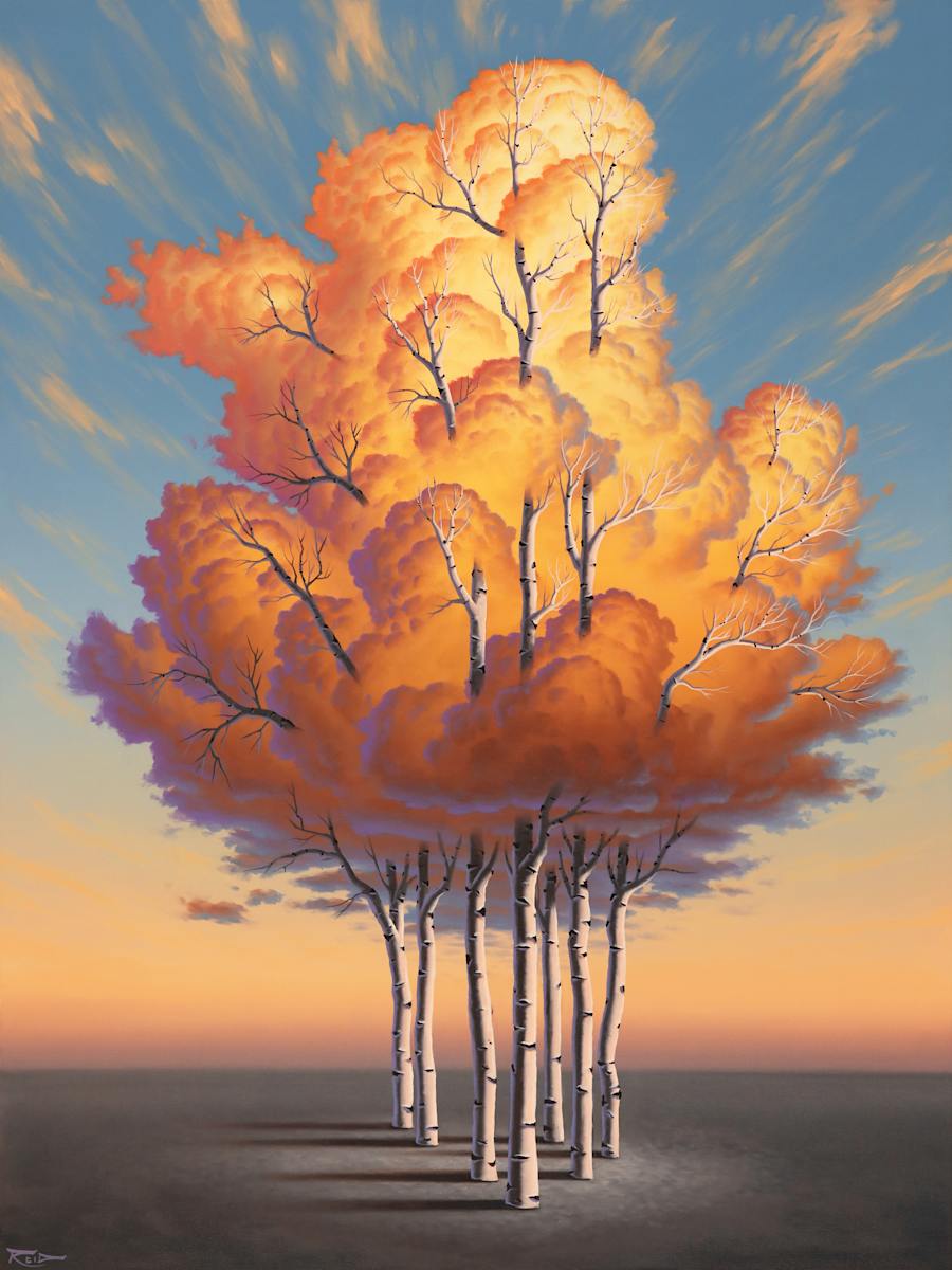 Iridescence by Reid Richardson 