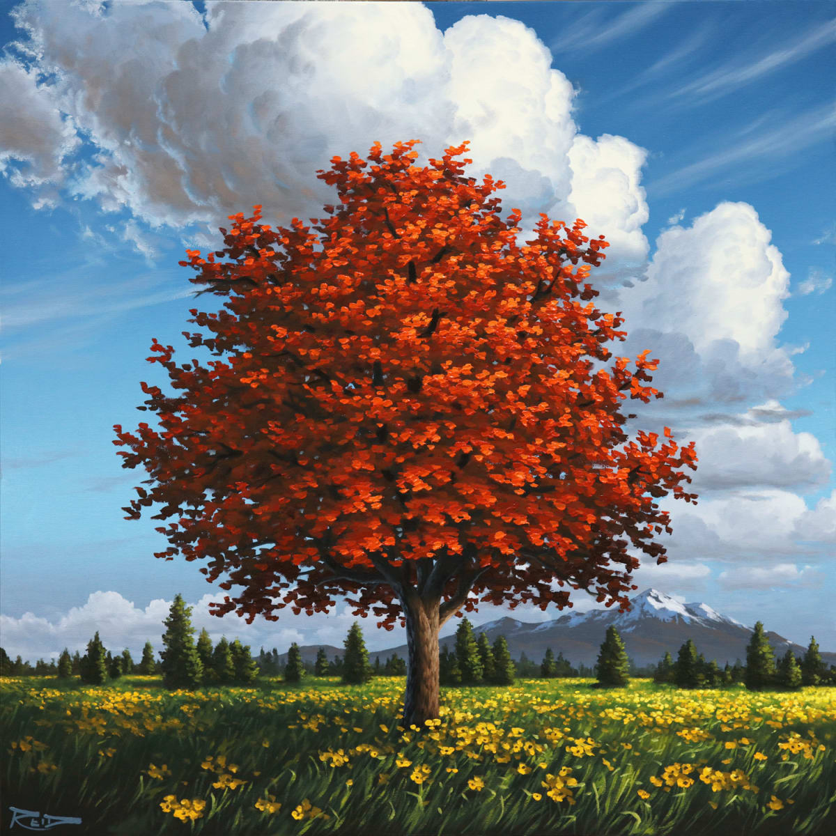 Majestic Meadow by Reid Richardson 