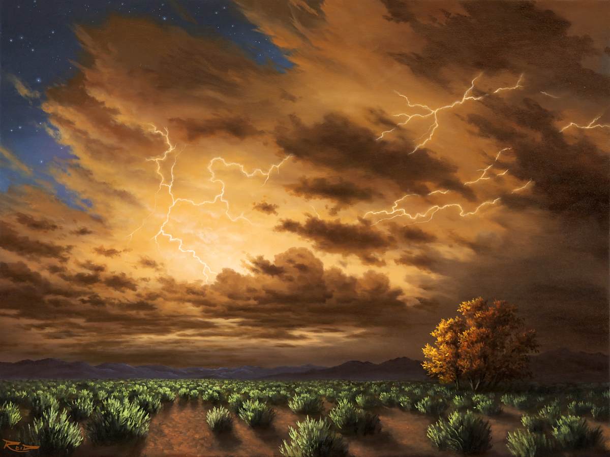 Revealing Light by Reid Richardson 