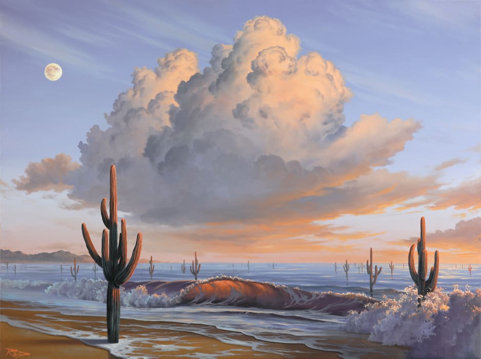 Saguaro Beach, Image 1.
