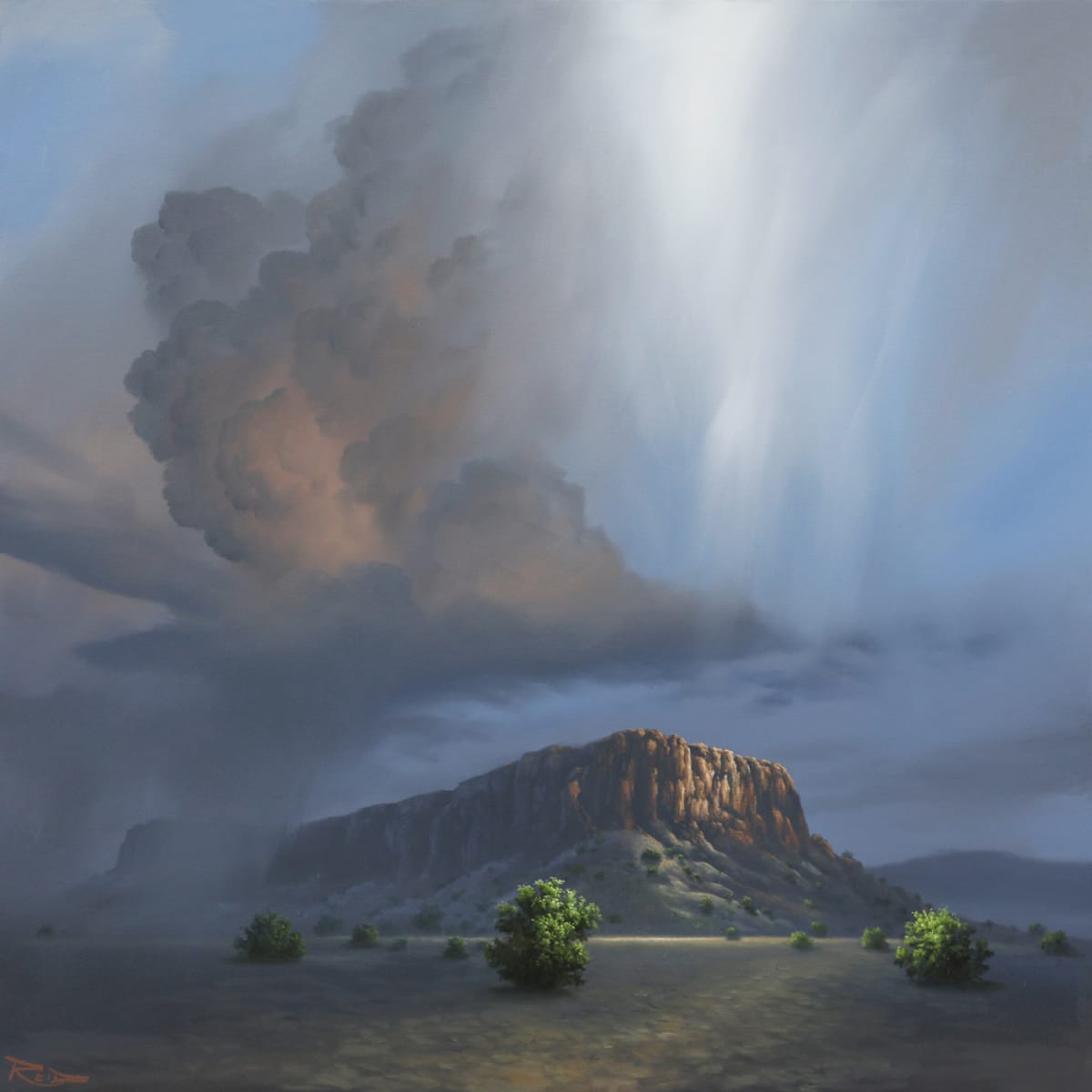 Shining Light by Reid Richardson 