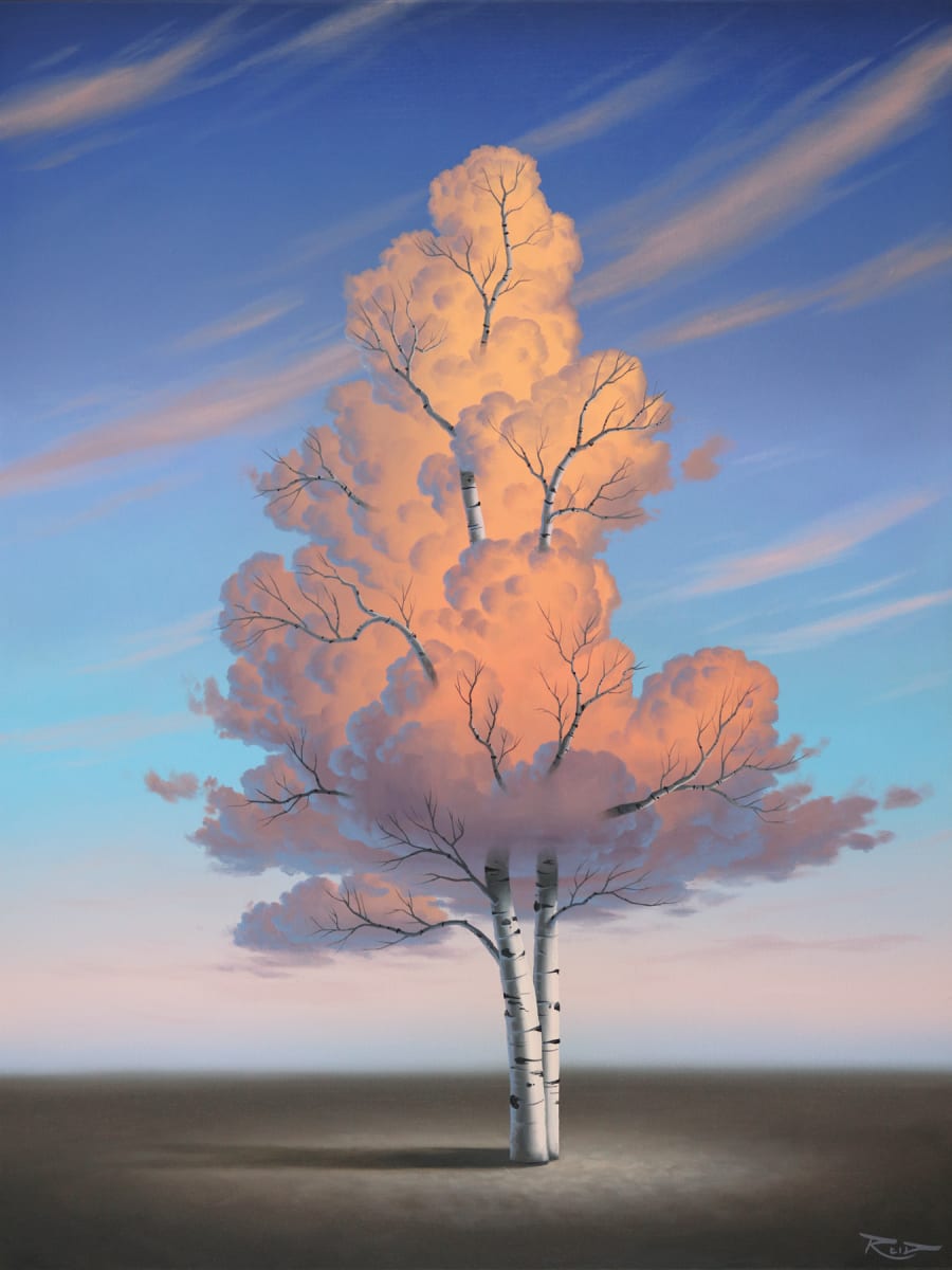 Soft Tranquility by Reid Richardson 