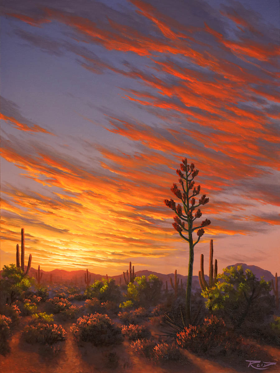 Sonoran Light by Reid Richardson 