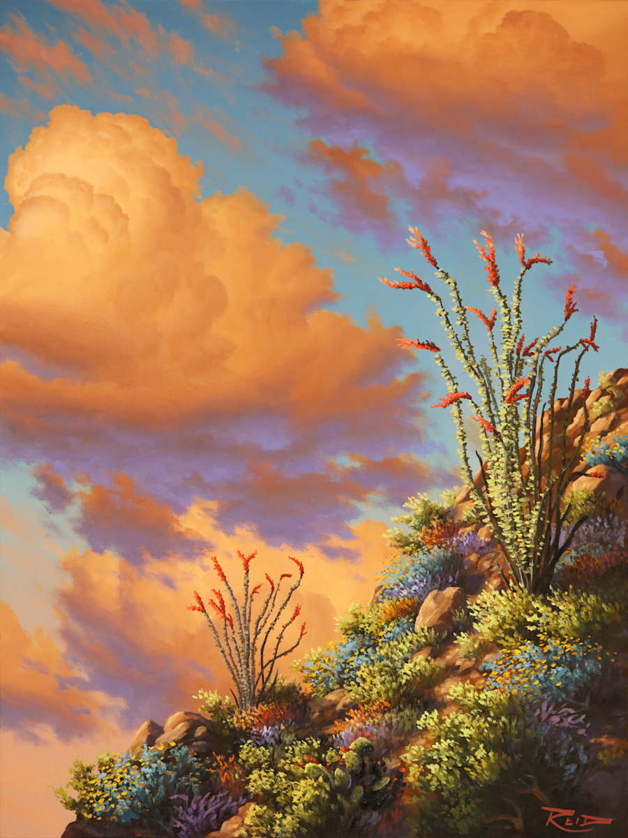 Spring Ocotillo by Reid Richardson 