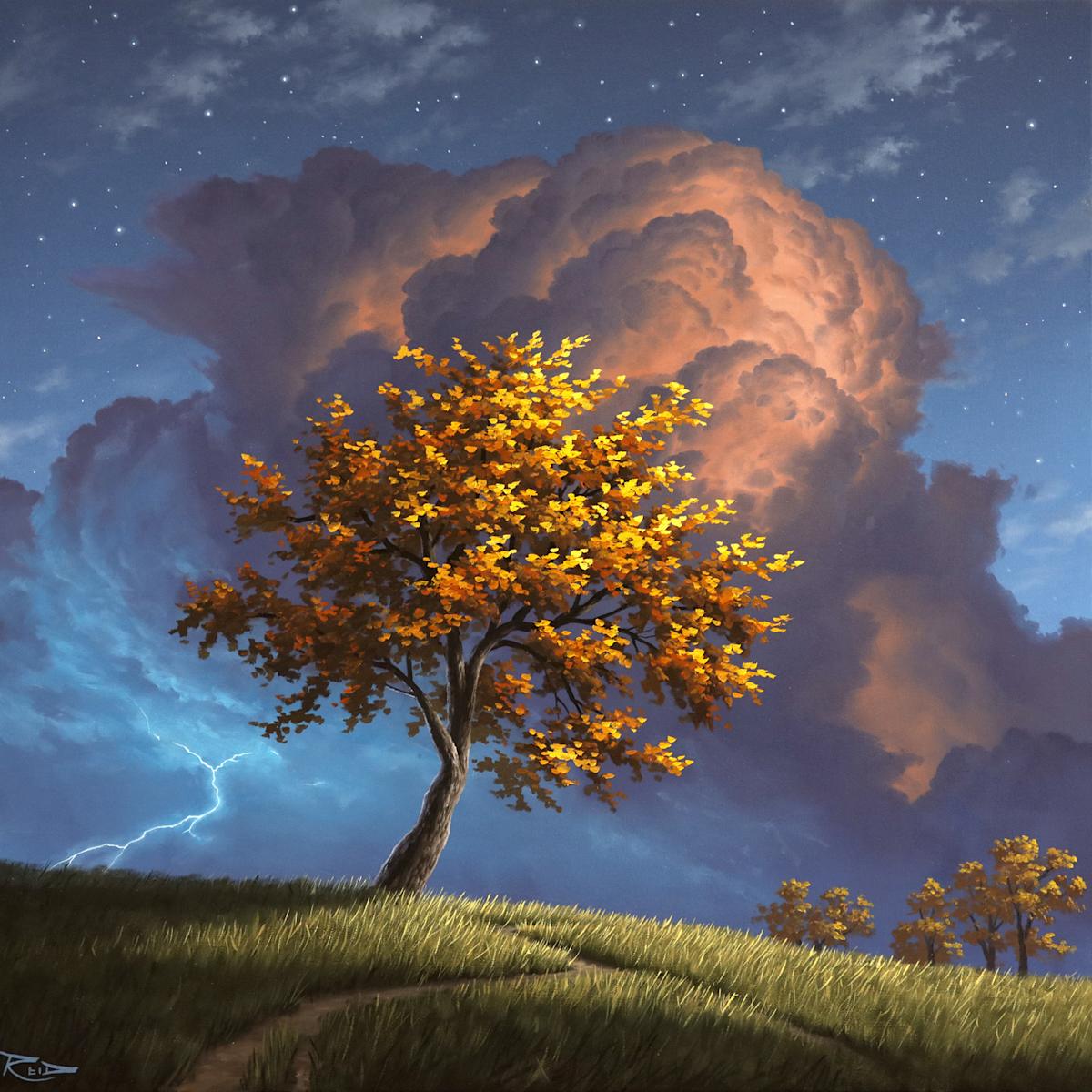 Striking Resilience by Reid Richardson 