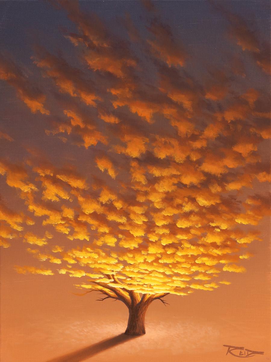 Sunset Tree 1 by Reid Richardson 