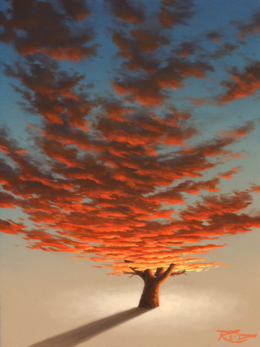 Sunset Tree 2 by Reid Richardson 