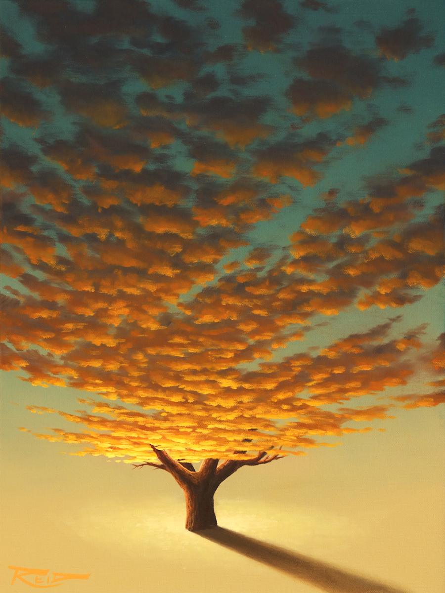 Sunset Tree 3 by Reid Richardson 