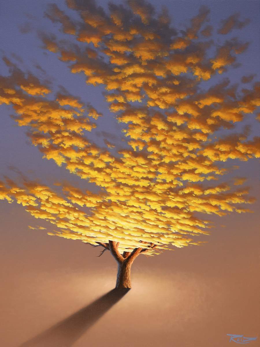 Sunset Tree 4 by Reid Richardson 