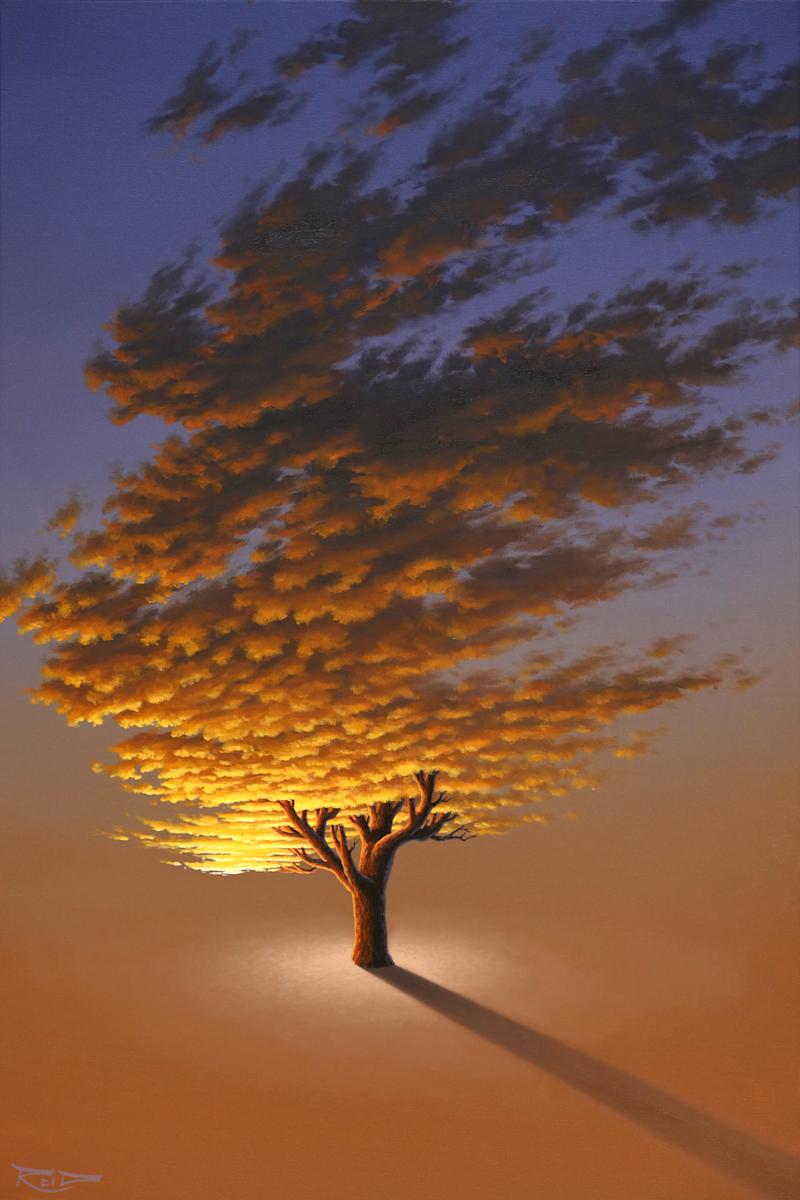 Sunset Tree 6 by Reid Richardson 