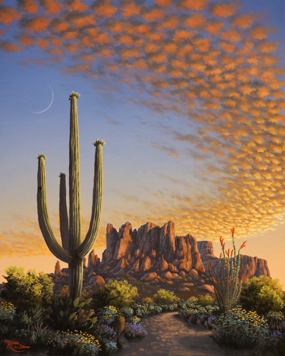 Superstition Journey by Reid Richardson 