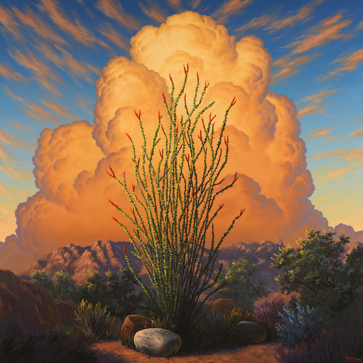 Thriving Desert by Reid Richardson, Image 1.