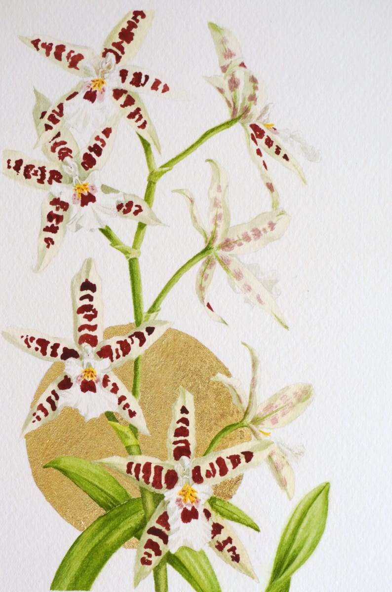 Mini Oncidium III by Victoria Beyer 