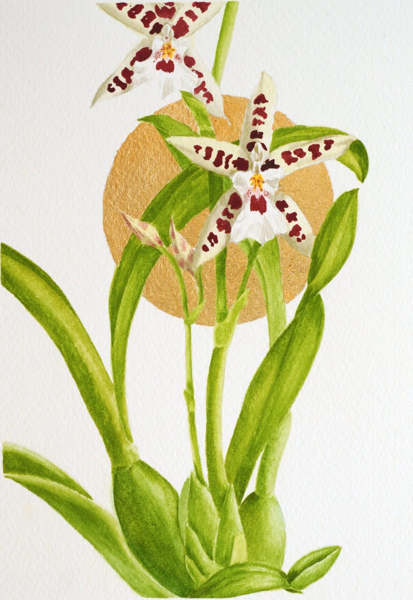 Oncidium II by Victoria Beyer  Image: watercolor and gold leaf