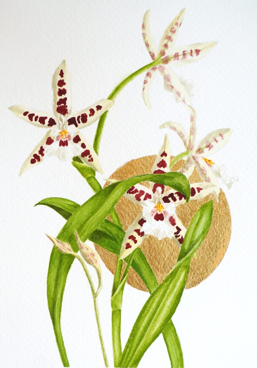 Orchid Oncidium I by Victoria Beyer 