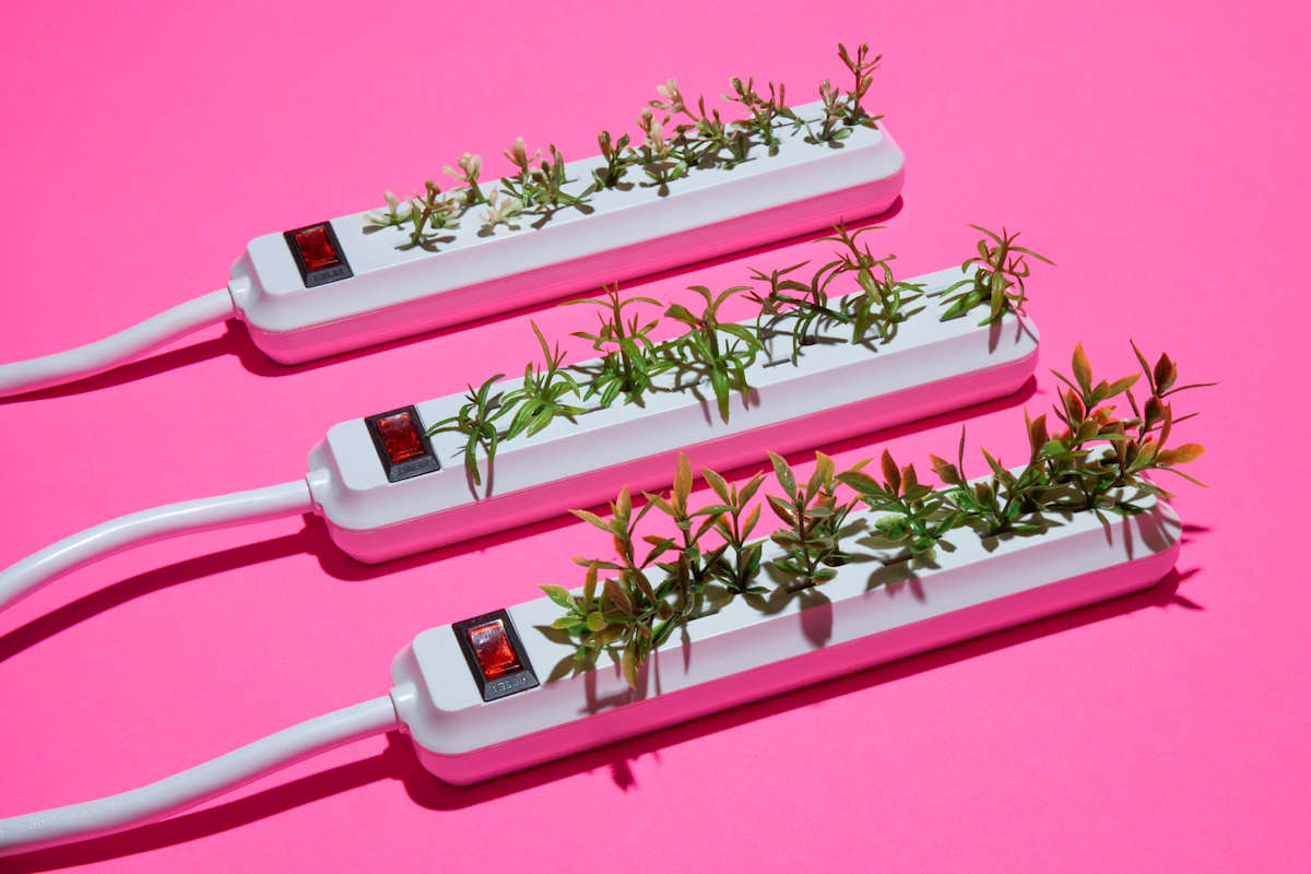 Botanical Currents by Lenny Gerard, Image 1.