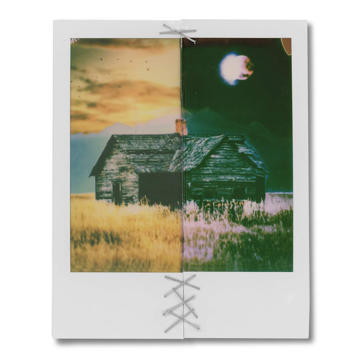 Isolated by Leny Gerard Behar, Image 12.