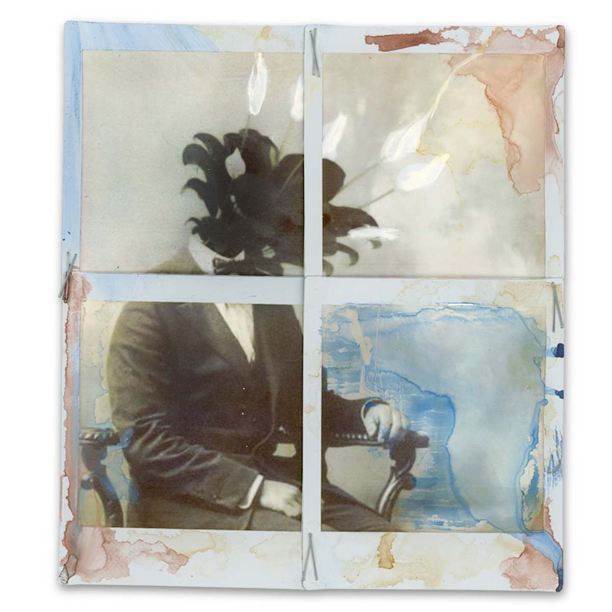 Pristine by Leny Gerard Behar, Image 6.