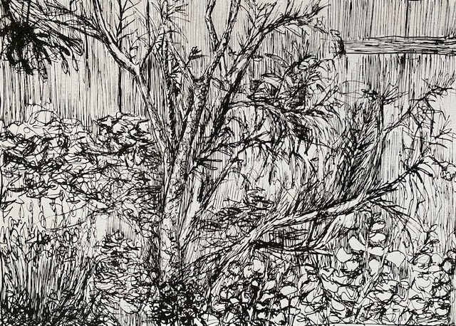 Untitled (Foliage 2) by Erin N. Power, Image 1.