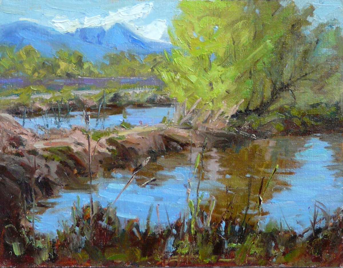 Spring Pond by Beth Winfield, Image 1.