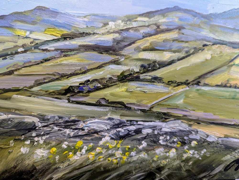 Summer flowers Cademuir Hill by Allison Young 