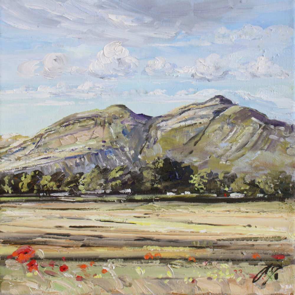 Dumyat and Poppies 1 by Allison Young 