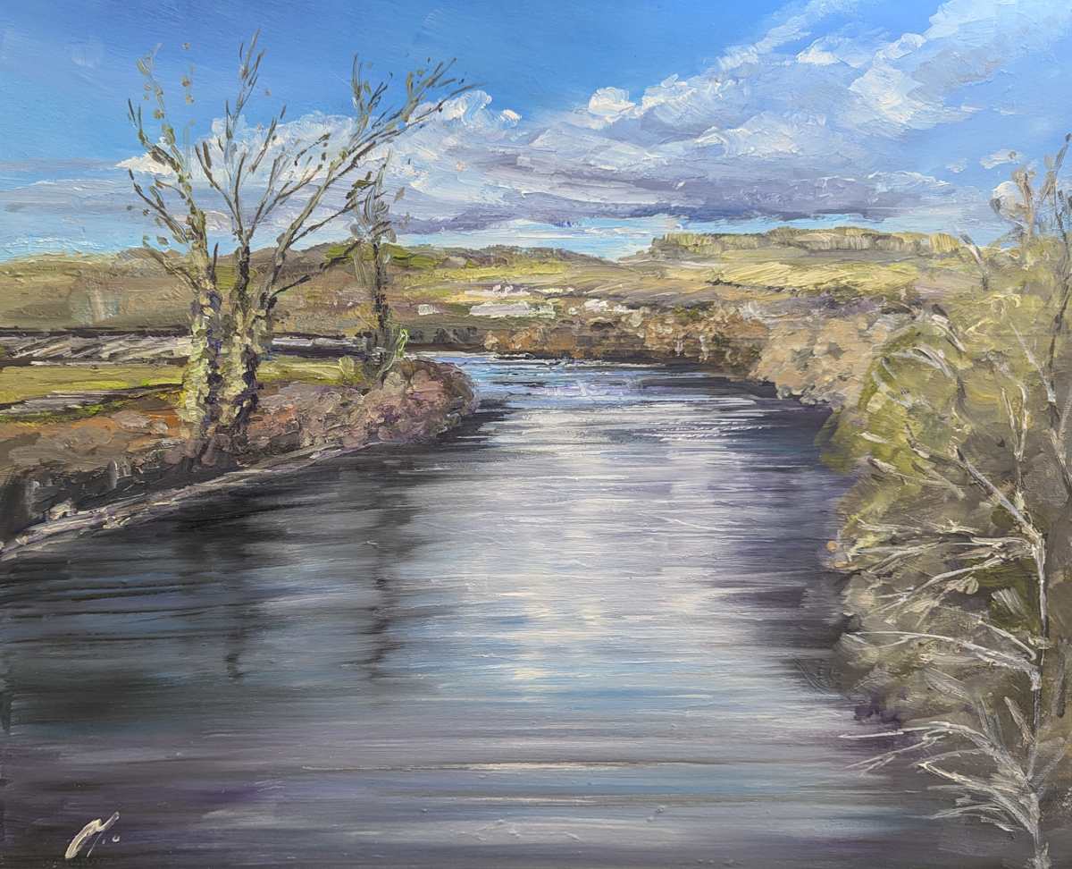 View from Old Stirling Bridge by Allison Young 