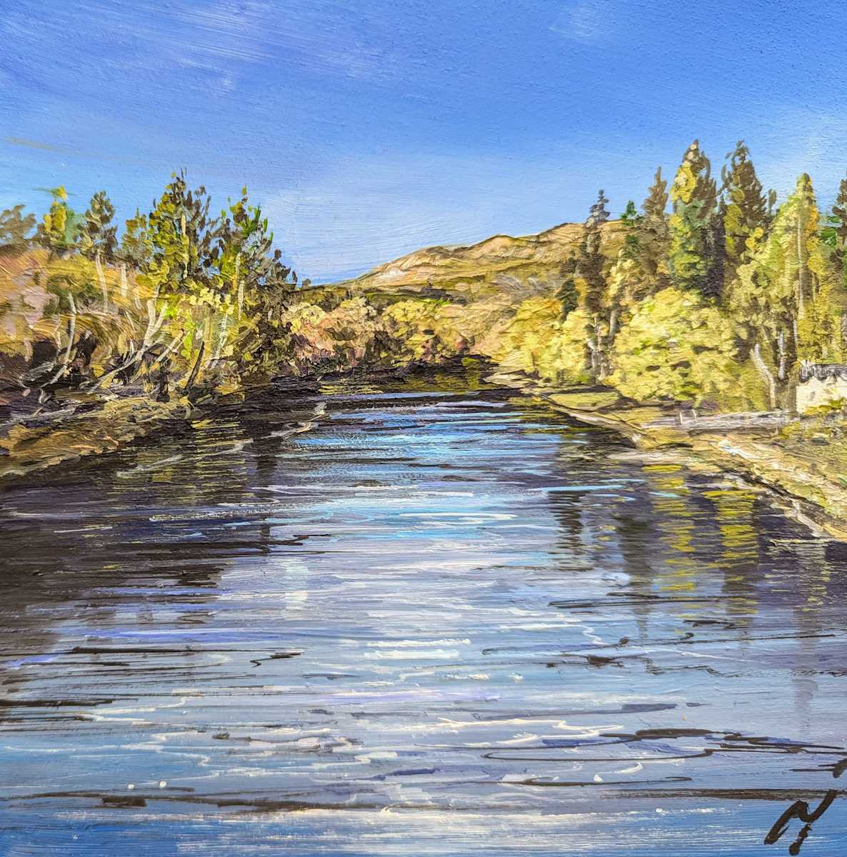 River Tay at Dunkeld by Allison Young 