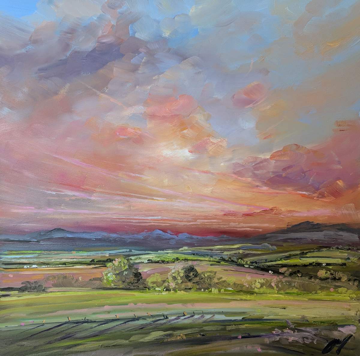 Pink Clouds passing, Crieff by Allison Young 