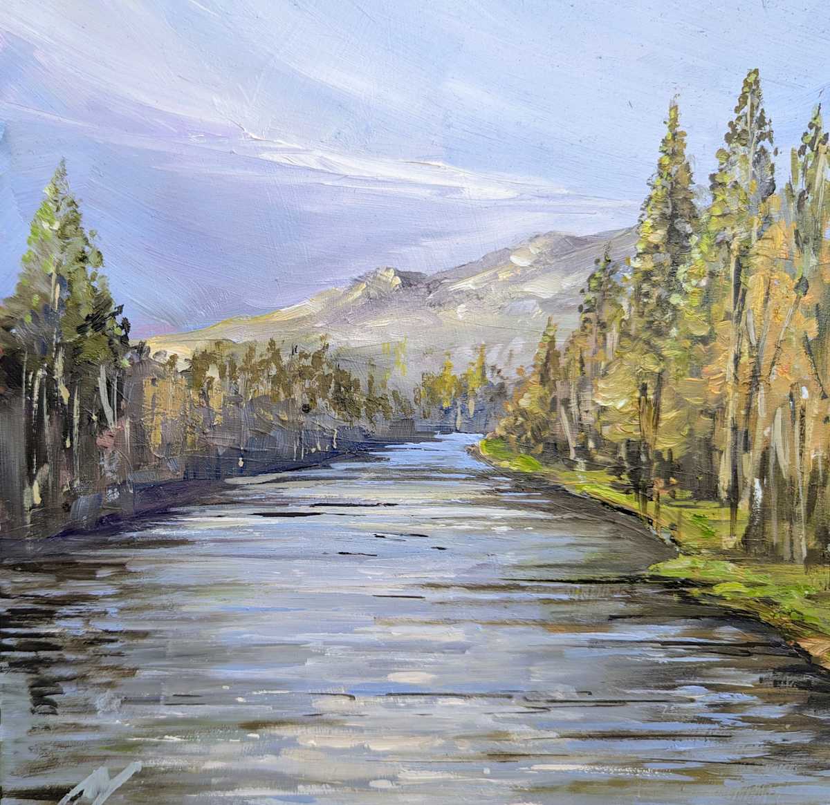 Pine Trees, River Tay at Dunkeld by Allison Young, Image 2.