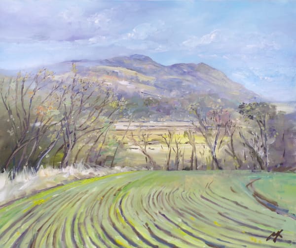 Dumyat from Stirling Carse (Spring Fields) by Allison Young 