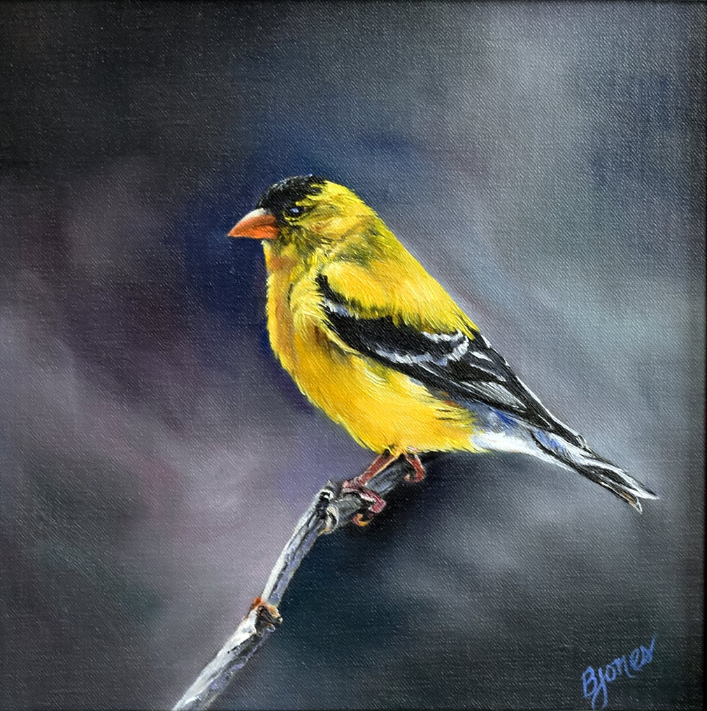 American Goldfinch by Bobbe Jones  Image: Original